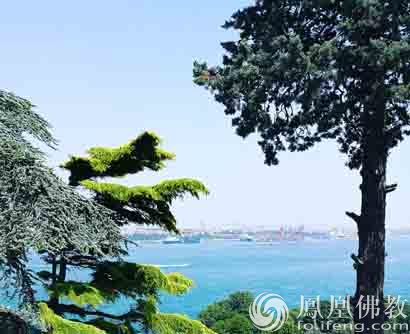 一日禅:成功的人_凤凰佛教