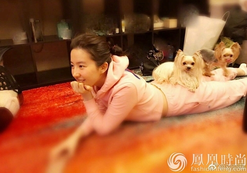 看过那么多女明星街拍 依然只服高圆圆