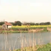 请添加图片名称