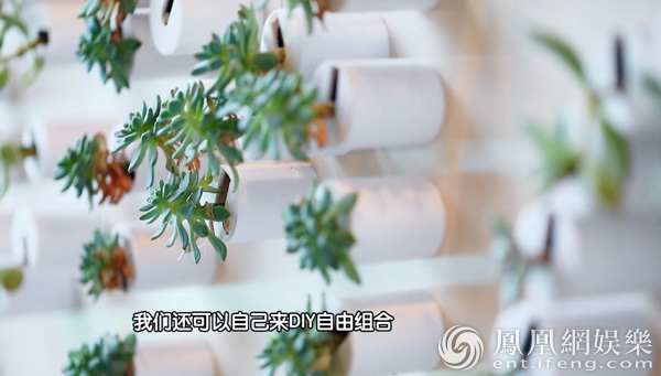 “绿植神器”《创意中国》引领未来“绿色人居”