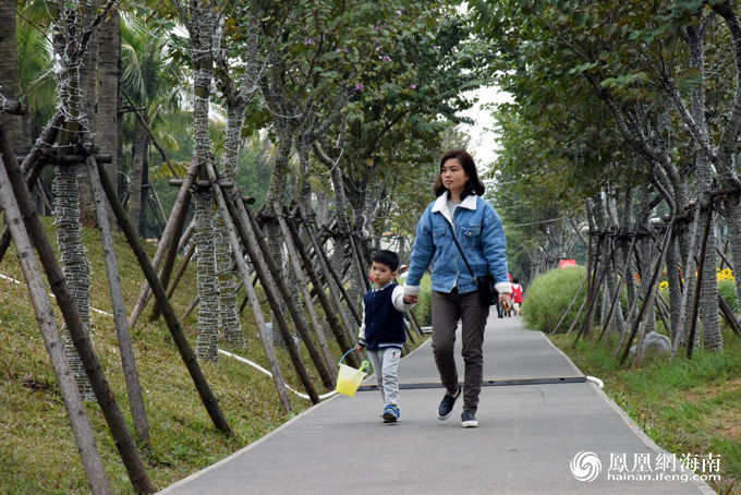 海口凤翔公园9000朵郁金香迎新年 生态颜值爆表