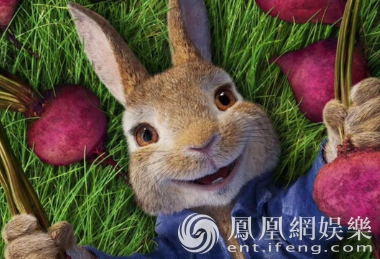 《比得兔》2.25提前点映 史上最疯狂动画主角出炉