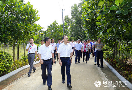 陵水各镇人口_海南陵水千禧