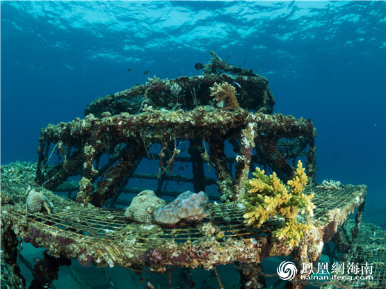 海底的人工鱼礁，姚宏朝 摄据中国海洋摄影家协会潜水摄影专业委员会负责