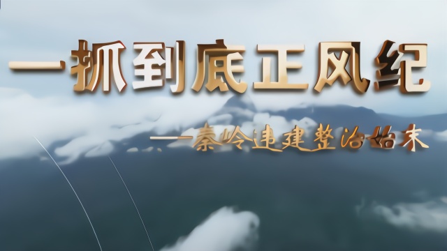 4分钟速览丨一抓到底正风纪——秦岭违建整治始末