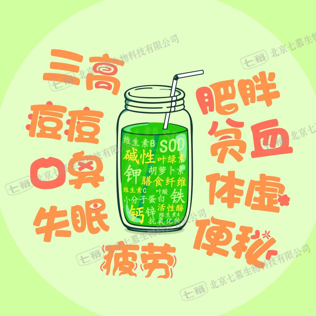 七慕:神奇的大麦若叶青汁缔造者_凤凰厦门