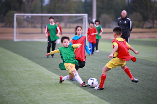 关注青少年足球 英林心携手斑马邦11日开启公