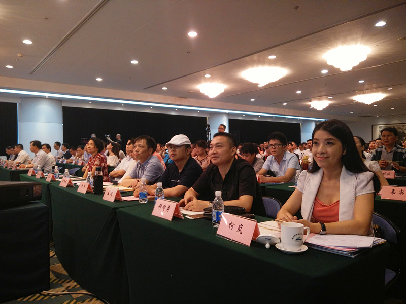 厦门定制精灵陈伟第三届电商剑道发展论坛