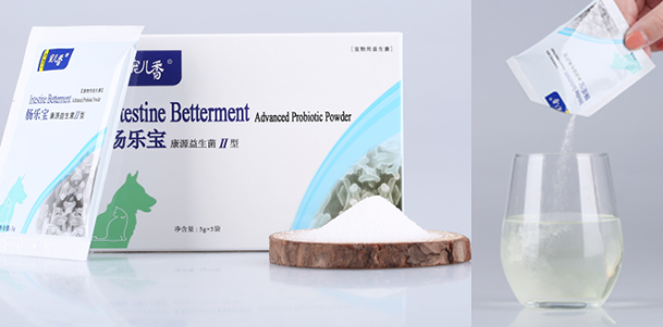 狗狗得了细小怎么办?细小怎么治疗好得快?