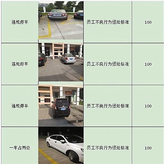 浙江一公司停车反向罚100元网友：是否管太宽？