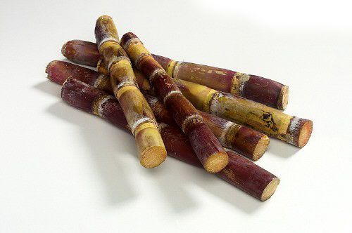 这物多吃一口竟会送掉命 一定嘱咐好老人和孩子