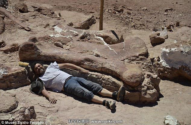 牧羊人放羊发现一巨型骨头:挖出后震惊世界 恐