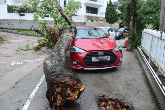 瓜子二手车教你5招停车技巧 保护爱车不受损害