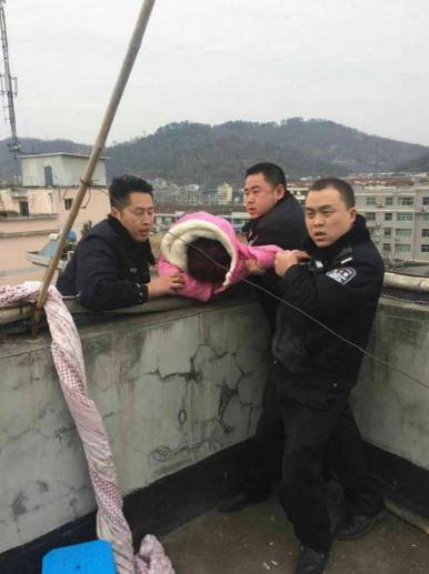 文章配图