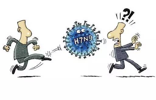 安徽H7N9流感死亡人数达20人！合肥等多地关闭活禽市场