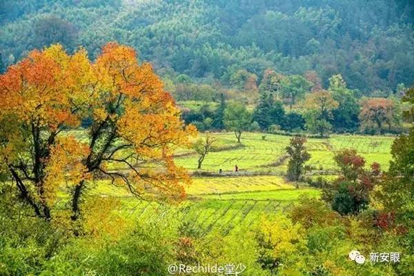 安徽黟县旅游景点_黟县旅游收入(2)