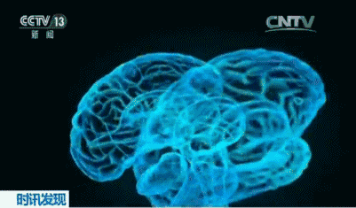 “换头术”还未实现，“换脑术”可能就要来了？