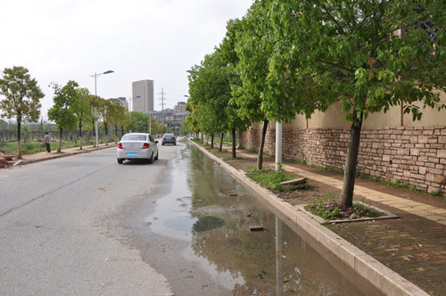 鹰潭信江新区海熙·御龙湾小区门口有200多米
