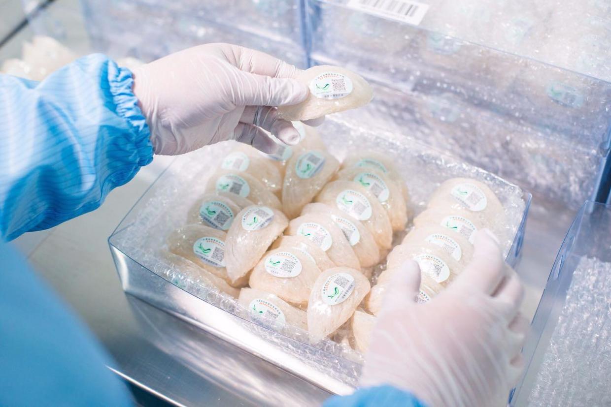 容颜不老的秘密,尽在罗意儿现炖燕窝