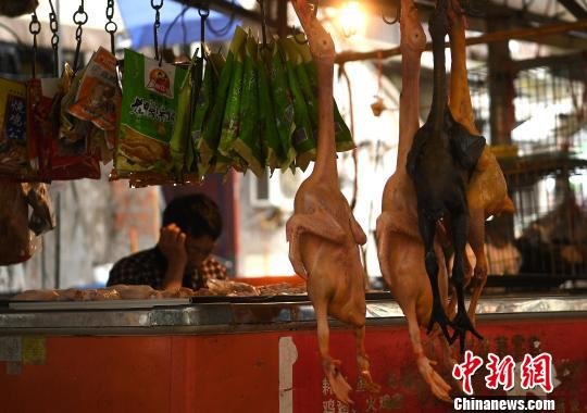 重庆累计发现5例人感染H7N9病例家禽市场生意冷淡