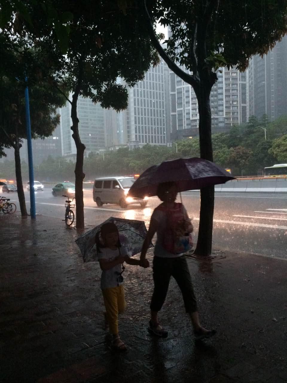 广州多区暴雨预警发布学生可按规定延迟上学