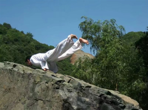 瑜伽教练培训哪里好——中国最专业的瑜伽教练培训亚新体育学校(图3)