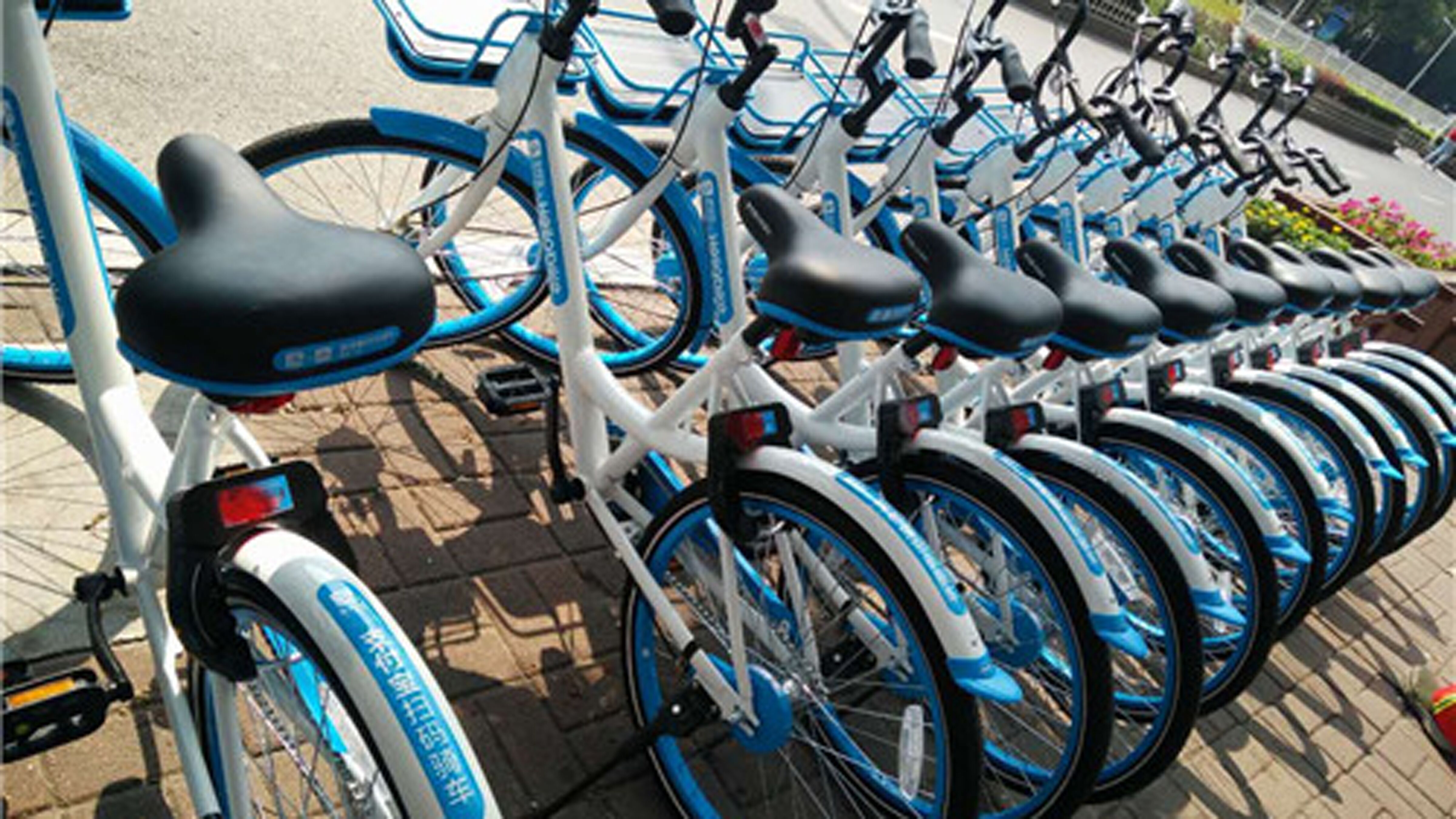 竟是出租车司机!张店破坏共享单车一名嫌疑人