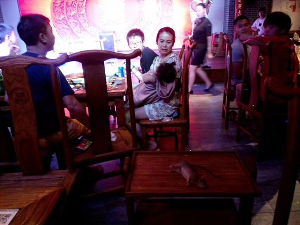 上海一火锅店天花板掉老鼠 食客称不止一只