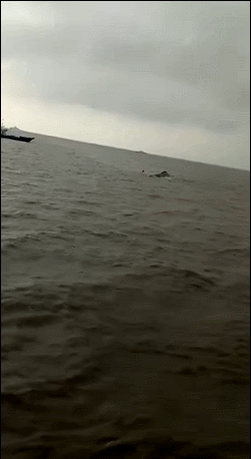 江苏盐城海域两渔船相撞 9人遇险