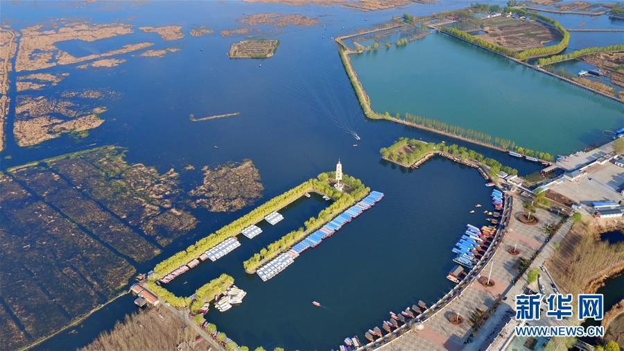 埃及金字塔_北京收入金字塔(2)