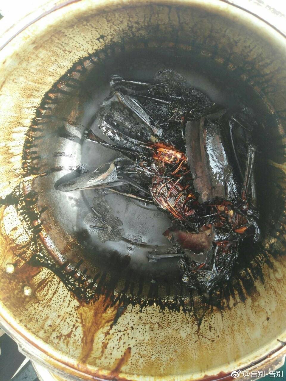 国庆长假下厨必看!今年中秋大闸蟹最in吃法:炭烤