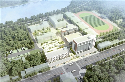 胶州将建国家级青训中心 打造足球特色小镇