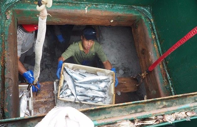 往来“讨海人”:盘中餐,险中取