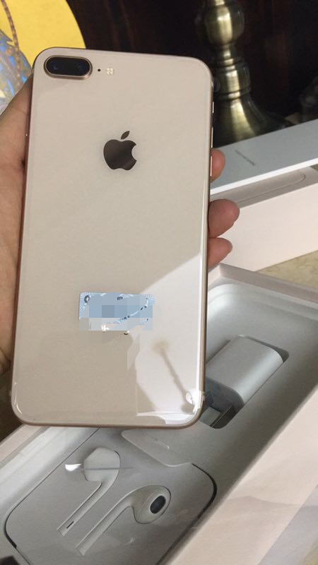 图片为用户提供