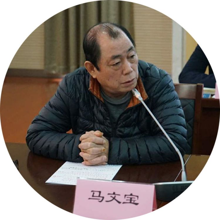 加快历史文化街区更新保护 西安文宝斋民族福利服务中心主任 马文宝