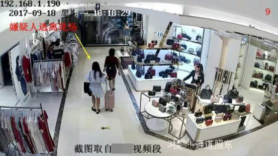 女子连偷9个包包被抓:看到这个牌子实在忍不住