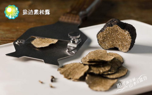 哪个地方黑松露质量较好?盐边黑松露吃法大全