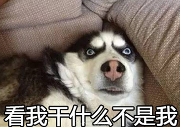 �����ܽ��ϵ���������巨ī������ס��
