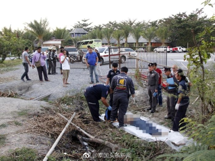 午报：中国领队为救游客被大象踩死 游客故意扯象尾