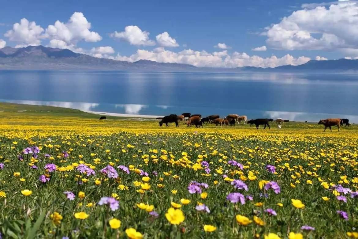 新疆旅游5日游多少钱，新疆游玩五天详细攻略安排,值得收藏旅游攻略-旅游官网