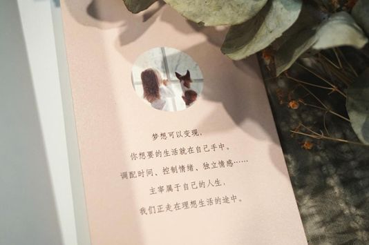 文章配图