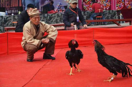 铁树银花闹元宵：千年民俗“打铁花”惊艳亮相万岁山庙会