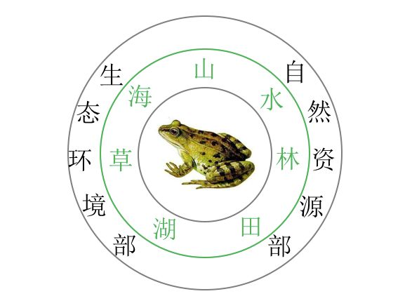 陆昊执掌的这个全新部门，到底是做什么的？