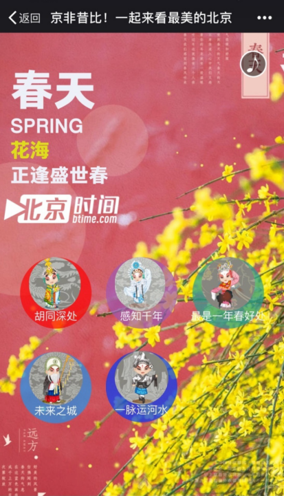 阳春何处看春花？北京时间带您看最美北京