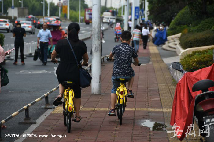 合肥人爱骑共享单车 1年骑行距离可往返月球7