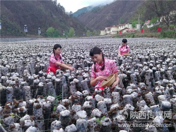 陕西省人口有多少_正月初十,我和阿强一大早就就驾车出