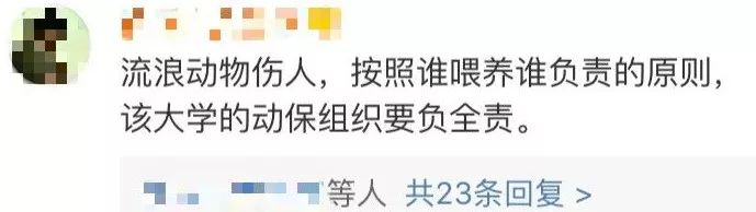 湘潭大学校长回应“流浪犬咬人事件”