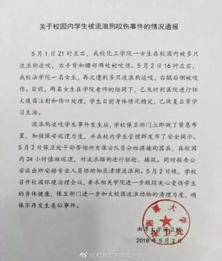 湘潭大学校长回应“流浪犬咬人事件”