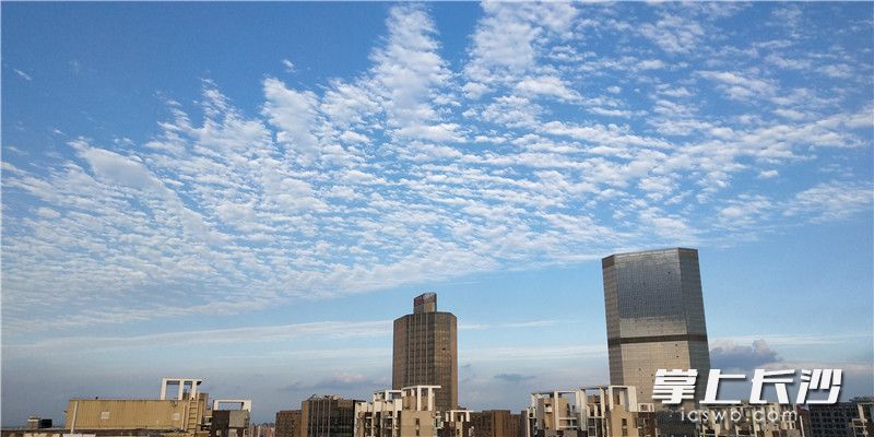 2020长沙gdp官方公布长沙晚报_长沙晚报报纸版面