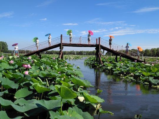 新闻中心 时间:7月21日09:58 地点:沈阳仙子湖风景区会展中心广场